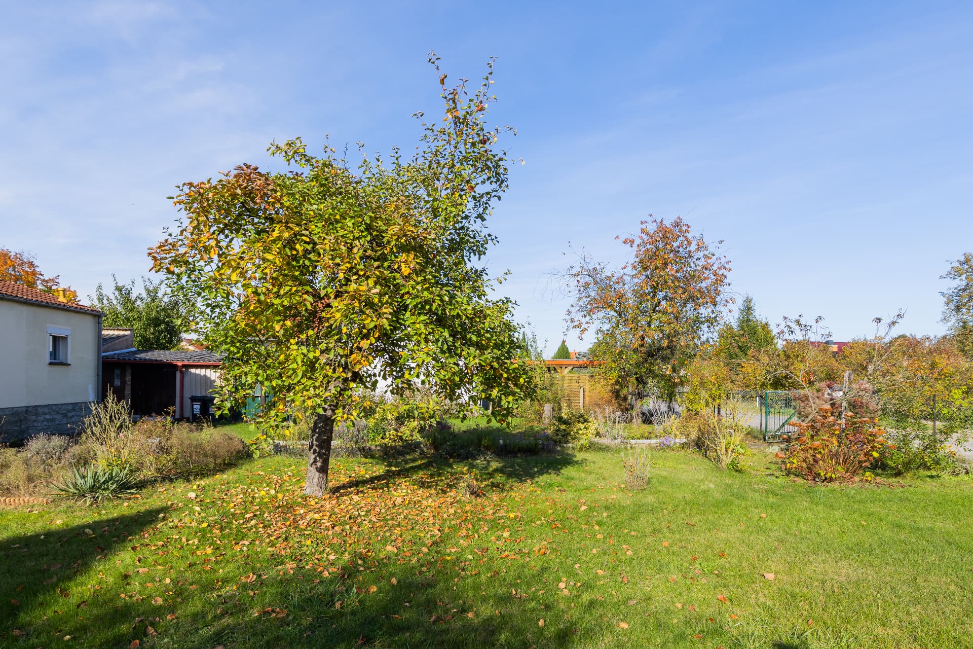 Baugrundstück mit Sanierungs- oder Abrisshaus in Woltersdorf